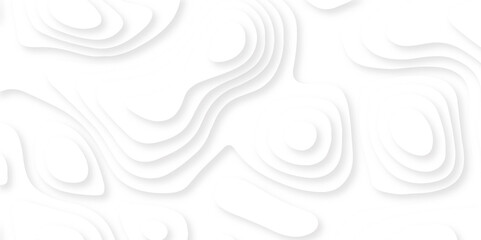 Fototapeta na wymiar Paper cut background. Grey abstract wave shapes - Trendy 3D design illustration. 