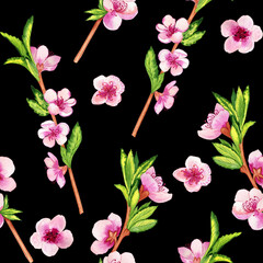 Watercolor branches of a blossoming peach tree and flowers seamless pattern. Hand drawn illustration of a blooming spring garden. Endless gentle background.