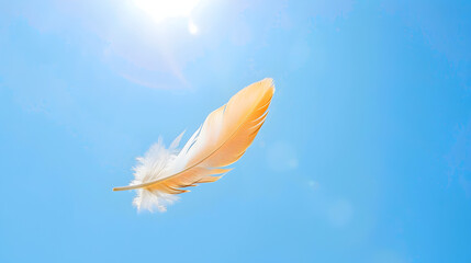 Naklejka premium Ethereal Dance of a Lone White Feather