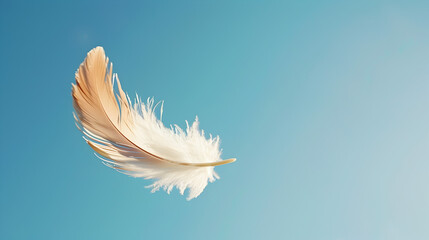 Ethereal Dance of a White Feather in the Blue Sky - obrazy, fototapety, plakaty