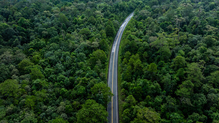 Aerial view asphalt road and green forest, Forest road going through forest view from above, Ecosystem and ecology healthy environment concept and background, Road in the middle of the forest.