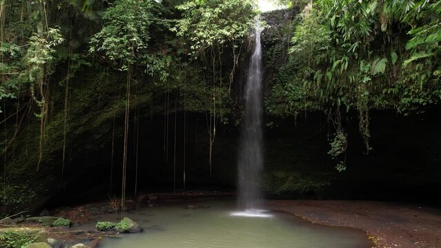 Arc shot of Belimbing waterfall, soft stream of water fall down to shallow puddle, green leaves and moss on walls, hanging threads of thin roots of tropical plants. Local natural landmarks of Bali