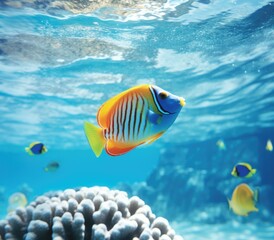 Fototapeta na wymiar A colorful fish swimming in the ocean near a coral reef. AI.