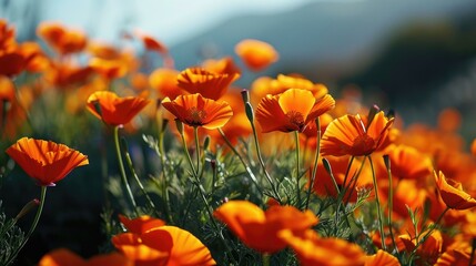 A field of orange flowers with a mountain in the background. AI.