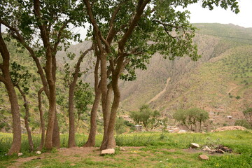 The nature of Kurdistan
