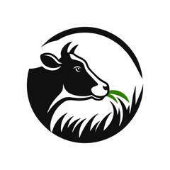 Cow logo design inspiration. Bull and buffalo cow animal logo design vector