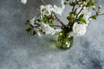 Cherry blossom in a vase on the table
