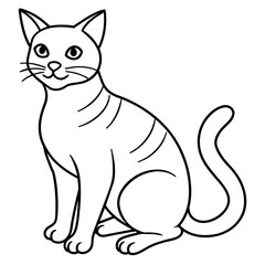   cat vector illustration.
