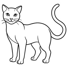   cat vector illustration.
