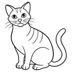   cat vector illustration.
