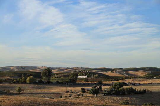 View of vineyards and rolling hills in Paso Robles California