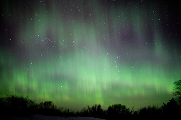 Northern lights dancing in the night sky with stars visible