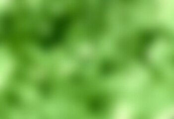 blurred defocused background - 783560459