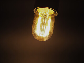 LED filament light bulb - 783560643