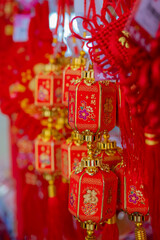 Chinese New Year Fortune Lantern