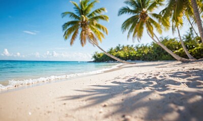 Fototapeta premium Summer tropical beach and waves