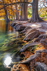 Amazing Fall Color Garner State Park Texas