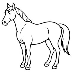 horse illustration