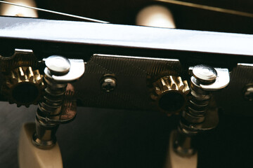 Screw tuning mechanism for acoustic guitar close up