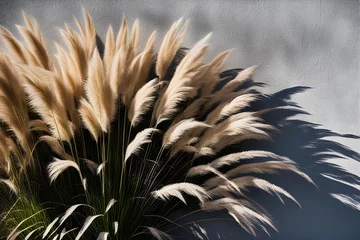 Fotobehang pampas grass © RORON