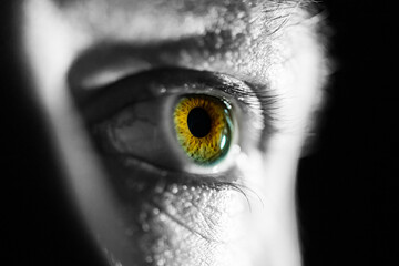 Close up shot of a human eye with a striking yellow pupil - obrazy, fototapety, plakaty