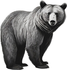 Fototapeta premium Close-up painting of a ferocious bear.