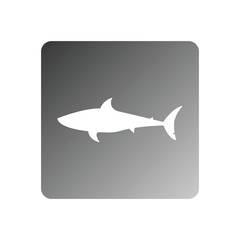 icon shark vector