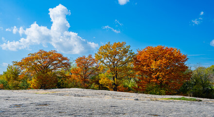 Amazing Fall Color Austin Texas