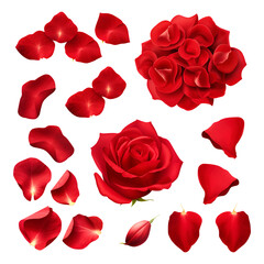 Fototapeta na wymiar Red rose flowers petals isolated on white background