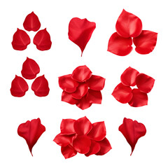 Red rose flowers petals isolated on white background