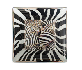 Zebra Print Decorative Square Plate - Isolated on White Background, Clipping Path Included