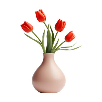 Tulip flower vase isolated on white background