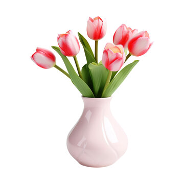 Tulip flower vase isolated on white background
