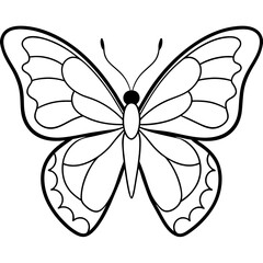     Butterfly vector illustration.
