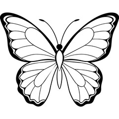 Fototapeta premium Butterfly vector illustration. 