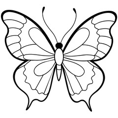     Butterfly vector illustration.
