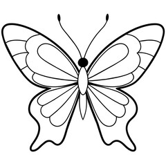     Butterfly vector illustration.
