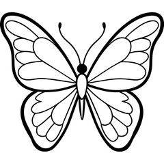    Butterfly vector illustration.
