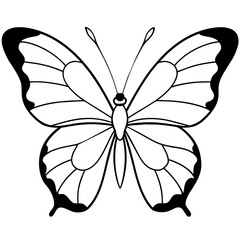     Butterfly vector illustration.

