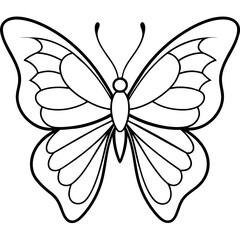     Butterfly vector illustration.
