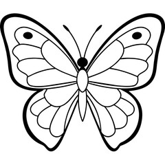     Butterfly vector illustration.
