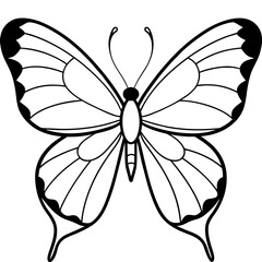 Fototapeta premium Butterfly vector illustration. 