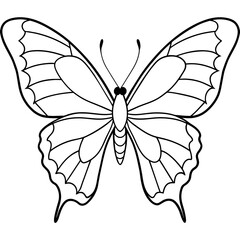     Butterfly vector illustration.
