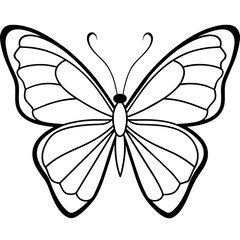     Butterfly vector illustration.
