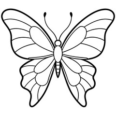     Butterfly vector illustration.
