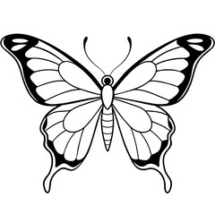     Butterfly vector illustration.
