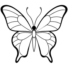     Butterfly vector illustration.
