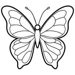     Butterfly vector illustration.

