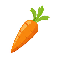 fresh carrot vegetable on white background