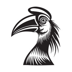 Hornbill  Head Vector Images, Bird Head Images  On white Background